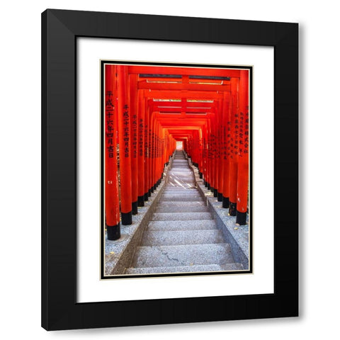 Famous Torii-or gates of the entrance to the Hie Shrine in Tokyo-Japan Black Modern Wood Framed Art Print with Double Matting by Haddad, Sheila
