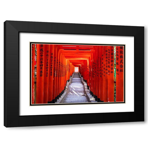 Famous Torii-or gates of the entrance to the Hie Shrine in Tokyo-Japan Black Modern Wood Framed Art Print with Double Matting by Haddad, Sheila