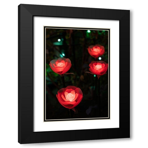 Illuminated red roses of the Ashikaga Flower park-Japan-at night in winter Black Modern Wood Framed Art Print with Double Matting by Haddad, Sheila