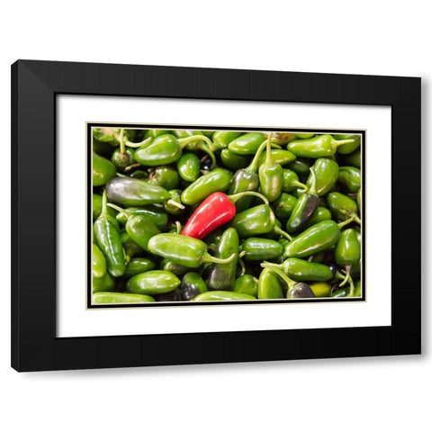 Selling peppers at the market-Kathmandu-Nepal Black Modern Wood Framed Art Print with Double Matting by Su, Keren