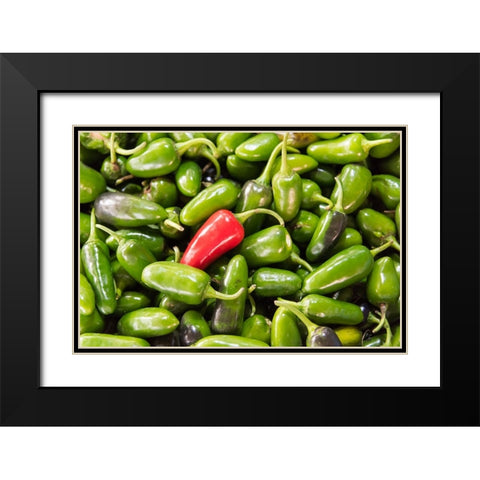 Selling peppers at the market-Kathmandu-Nepal Black Modern Wood Framed Art Print with Double Matting by Su, Keren