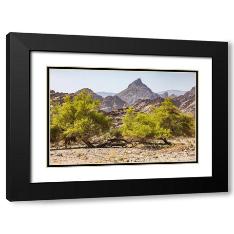 Middle East-Arabian Peninsula-Oman-Al Batinah South-Rustaq Black Modern Wood Framed Art Print with Double Matting by Wilson, Emily M.