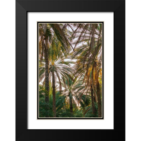 Middle East-Arabian Peninsula-Oman-Ad Dakhiliyah-Nizwa-Palm trees in Nizwa-Oman Black Modern Wood Framed Art Print with Double Matting by Wilson, Emily M.
