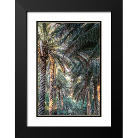 Middle East-Arabian Peninsula-Oman-Ad Dakhiliyah-Nizwa-Palm trees in Nizwa-Oman Black Modern Wood Framed Art Print with Double Matting by Wilson, Emily M.