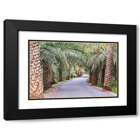 Middle East-Arabian Peninsula-Oman-Ad Dakhiliyah-Nizwa-Palm trees along a road in Nizwa-Oman Black Modern Wood Framed Art Print with Double Matting by Wilson, Emily M.