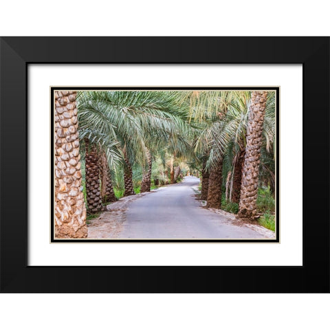 Middle East-Arabian Peninsula-Oman-Ad Dakhiliyah-Nizwa-Palm trees along a road in Nizwa-Oman Black Modern Wood Framed Art Print with Double Matting by Wilson, Emily M.