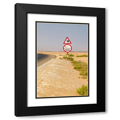 Middle East-Arabian Peninsula-Al Batinah South-Camel crossing Black Modern Wood Framed Art Print with Double Matting by Wilson, Emily M.