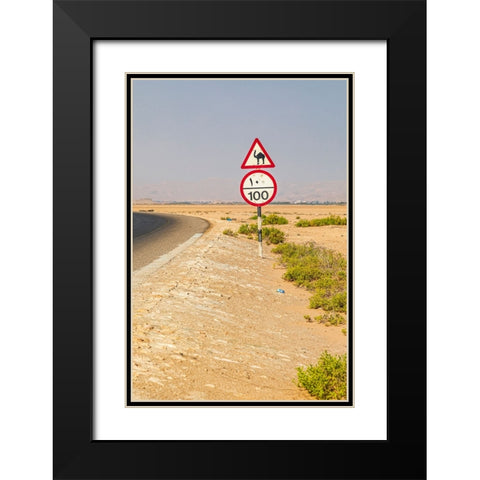 Middle East-Arabian Peninsula-Al Batinah South-Camel crossing Black Modern Wood Framed Art Print with Double Matting by Wilson, Emily M.