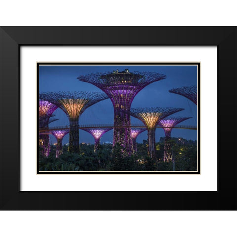 Singapore Garden by the Sea towers at night Black Modern Wood Framed Art Print with Double Matting by Zuckerman, Jim
