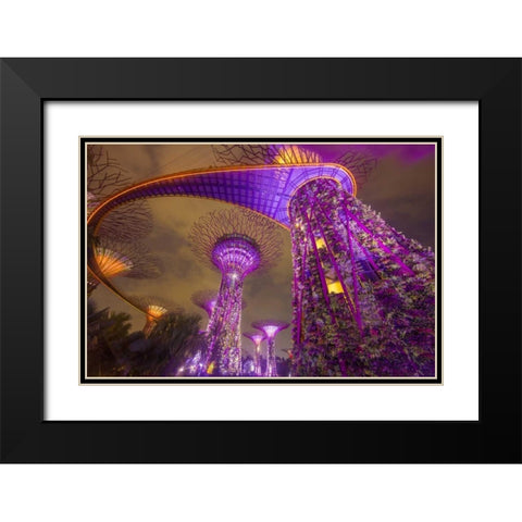 Singapore Garden by the Sea towers at night Black Modern Wood Framed Art Print with Double Matting by Zuckerman, Jim