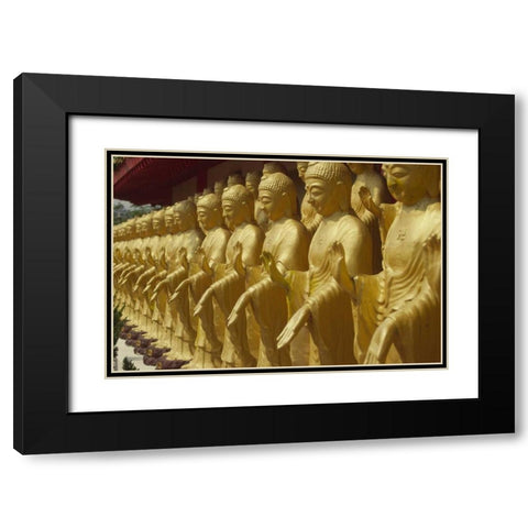 Taiwan, Foukuangshan Temple, Standing Buddha Black Modern Wood Framed Art Print with Double Matting by Satushek, Steve