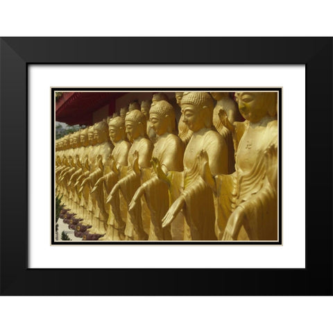 Taiwan, Foukuangshan Temple, Standing Buddha Black Modern Wood Framed Art Print with Double Matting by Satushek, Steve