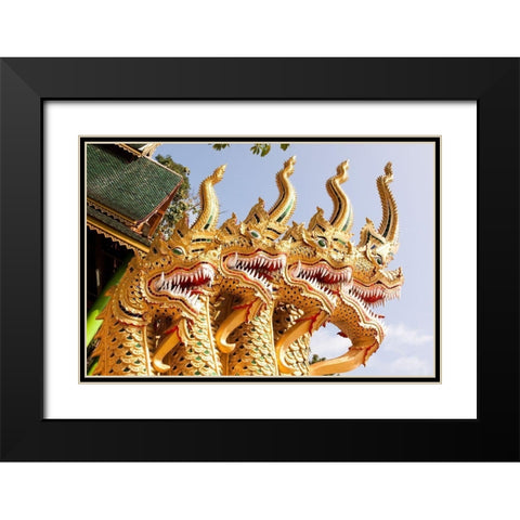 Thailand Golden dragons at a temple Black Modern Wood Framed Art Print with Double Matting by Haseltine, Tom