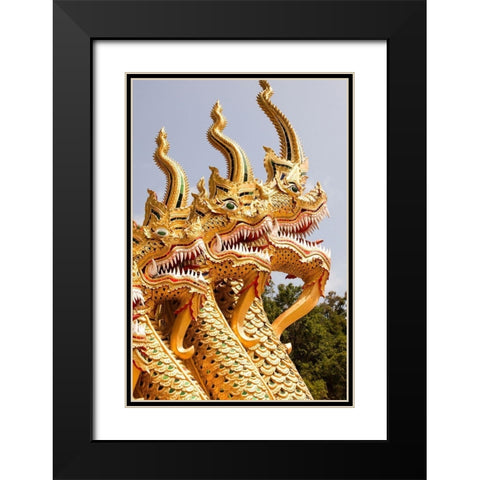 Thailand Golden dragons at a temple Black Modern Wood Framed Art Print with Double Matting by Haseltine, Tom