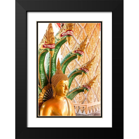 Thailand-Buddha statue surrounded by dragons Black Modern Wood Framed Art Print with Double Matting by Haseltine, Tom