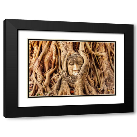 Thailand- Ayutthaya. Wat Mahathat. Buddha head engulfed in tree roots. Black Modern Wood Framed Art Print with Double Matting by Haseltine, Tom