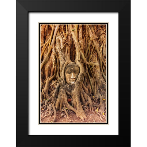 Thailand- Ayutthaya. Wat Mahathat. Buddha head engulfed in tree roots. Black Modern Wood Framed Art Print with Double Matting by Haseltine, Tom
