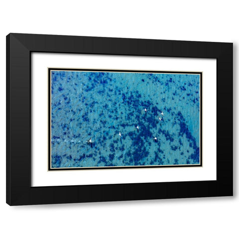 Flamingos flying at the Aegean coast-Turkey Black Modern Wood Framed Art Print with Double Matting by Kabas, Ali