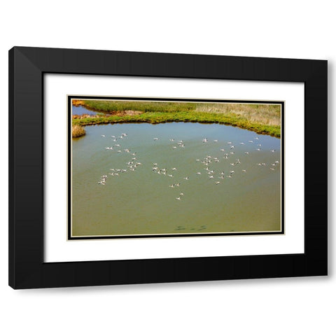 Flamingos flying in wetland on the Aegean coast-Turkey Black Modern Wood Framed Art Print with Double Matting by Kabas, Ali