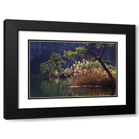 Turkey, Dalyan Pines, grasses and waterfowl Black Modern Wood Framed Art Print with Double Matting by Satushek, Steve