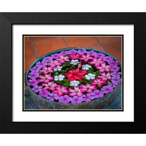 Asia-Vietnam-Mui Ne Red-white-pink-and purple flowers floating in a bowl of water Black Modern Wood Framed Art Print with Double Matting by Merrill Images