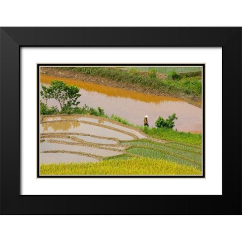 Vietnam -Rice paddies in the highlands of Sapa Black Modern Wood Framed Art Print with Double Matting by Norring, Tom