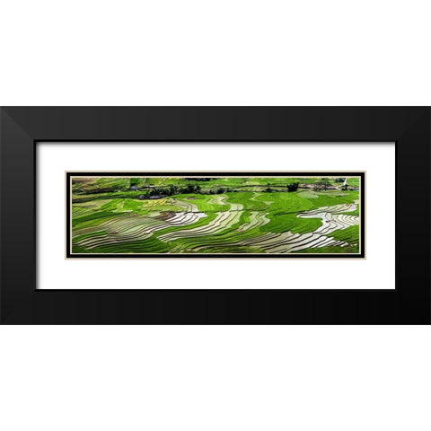 Vietnam -Rice paddies in the highlands of Sapa Black Modern Wood Framed Art Print with Double Matting by Norring, Tom
