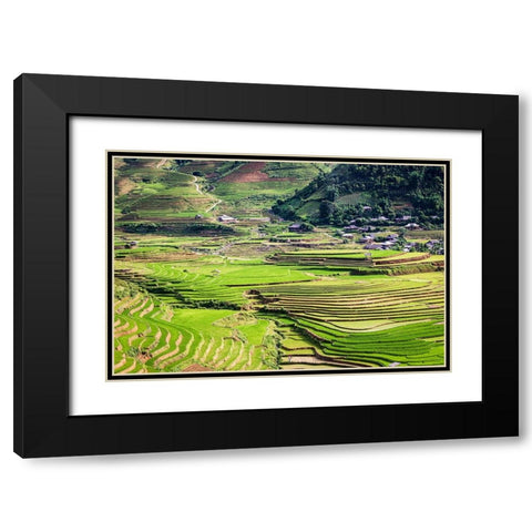 Vietnam -Rice paddies in the highlands of Sapa Black Modern Wood Framed Art Print with Double Matting by Norring, Tom