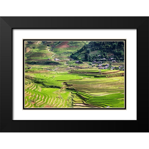 Vietnam -Rice paddies in the highlands of Sapa Black Modern Wood Framed Art Print with Double Matting by Norring, Tom
