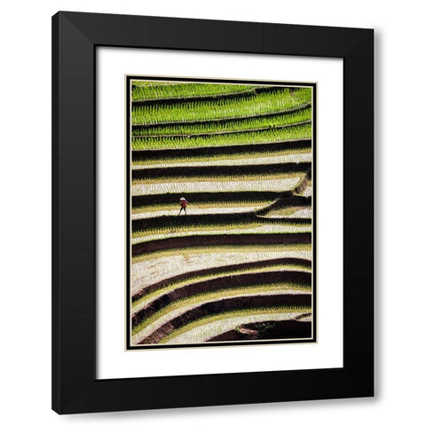 Vietnam -Rice paddies in the highlands of Sapa Black Modern Wood Framed Art Print with Double Matting by Norring, Tom