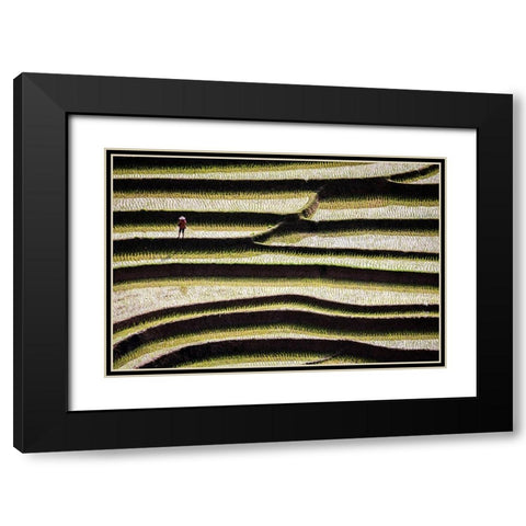 Vietnam -Rice paddies in the highlands of Sapa Black Modern Wood Framed Art Print with Double Matting by Norring, Tom