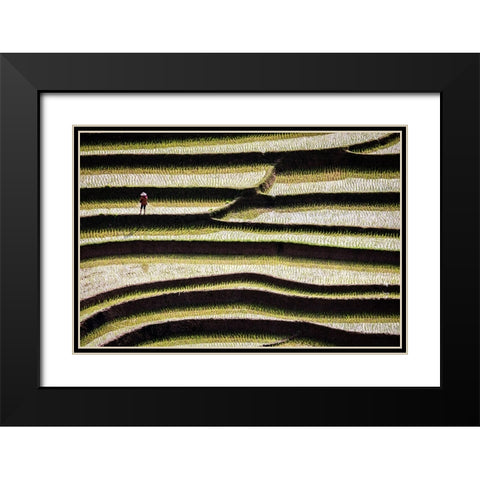 Vietnam -Rice paddies in the highlands of Sapa Black Modern Wood Framed Art Print with Double Matting by Norring, Tom