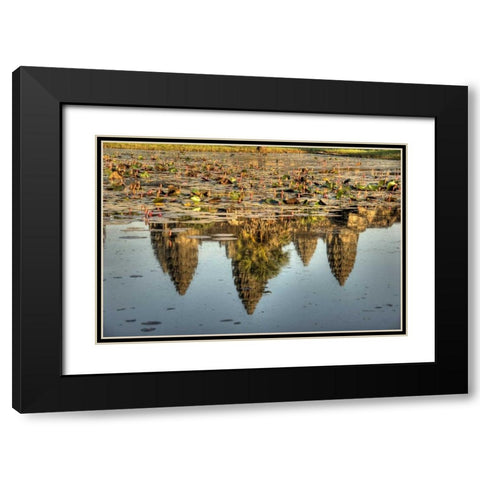 Cambodia, Angkor Wat Reflection of temple ruins Black Modern Wood Framed Art Print with Double Matting by Shimlock, Jones