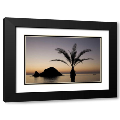 UAE, Fujairah Snoopy Island and palm tree Black Modern Wood Framed Art Print with Double Matting by Young, Bill