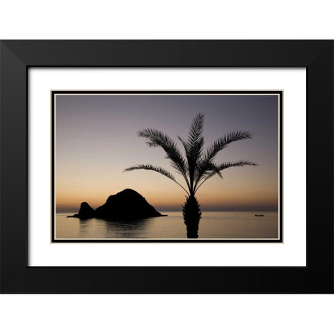 UAE, Fujairah Snoopy Island and palm tree Black Modern Wood Framed Art Print with Double Matting by Young, Bill
