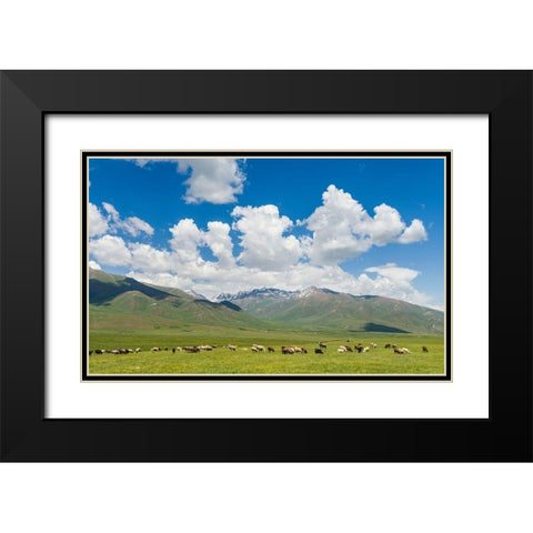 Summer pasture with traditional Yurts The Suusamyr plain Black Modern Wood Framed Art Print with Double Matting by Zwick, Martin