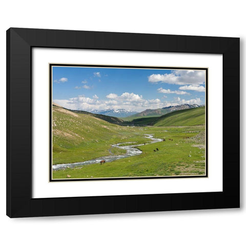 Horses on summer pasture The Suusamyr plain-a high valley in Tien Shan Mountains-Kyrgyzstan Black Modern Wood Framed Art Print with Double Matting by Zwick, Martin