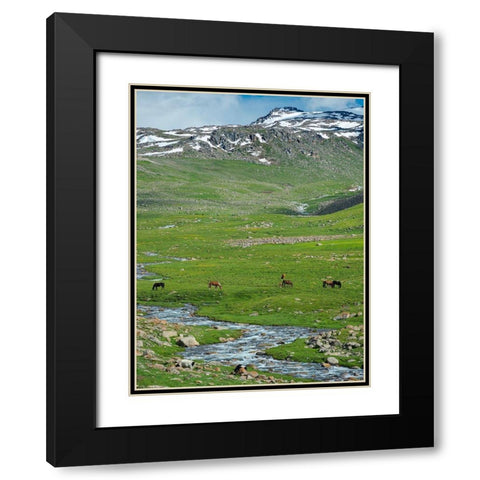 Landscape at the Otmok mountain pass in the Tien Shan or heavenly mountains-Kyrgyzstan Black Modern Wood Framed Art Print with Double Matting by Zwick, Martin