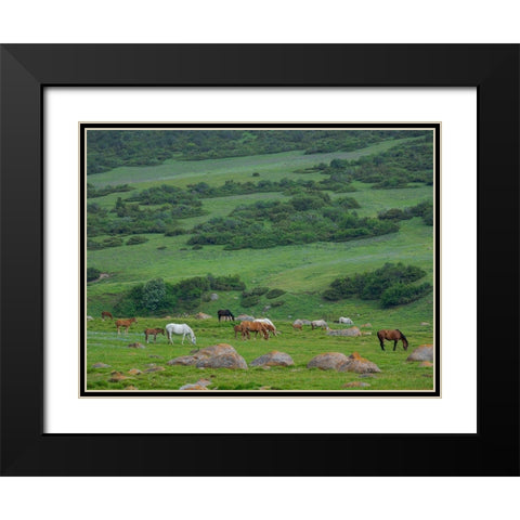 Horses on their summer pasture National Park Besch Tasch in the Talas Alatoo mountain range Black Modern Wood Framed Art Print with Double Matting by Zwick, Martin