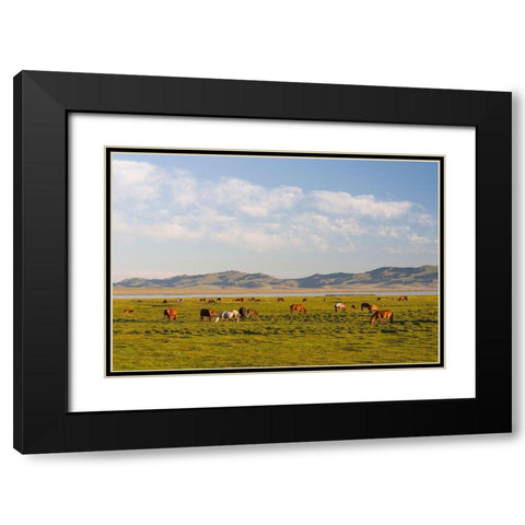 Horses on their mountain pasture at lake Song Kol  Black Modern Wood Framed Art Print with Double Matting by Zwick, Martin