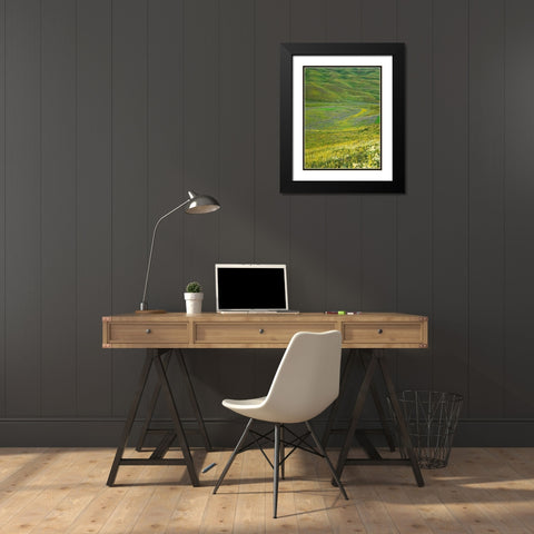 Wildflower meadow near the mountain road from Kazarman to mountain pass Urum Basch Ashuusu in the  Black Modern Wood Framed Art Print with Double Matting by Zwick, Martin