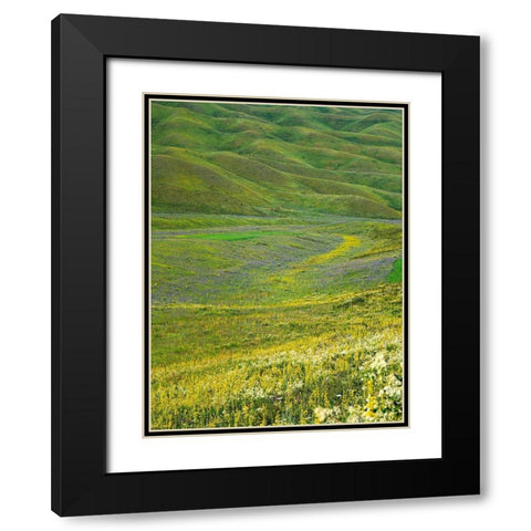 Wildflower meadow near the mountain road from Kazarman to mountain pass Urum Basch Ashuusu in the  Black Modern Wood Framed Art Print with Double Matting by Zwick, Martin