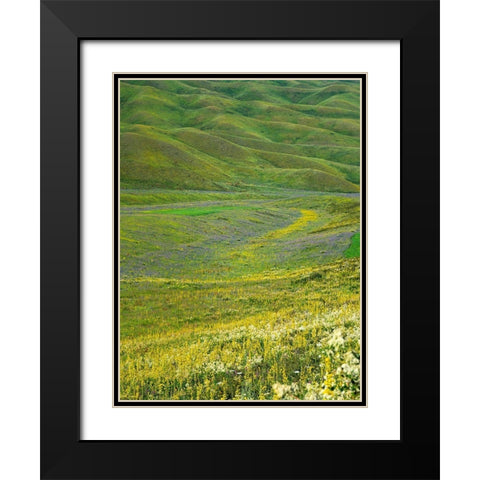 Wildflower meadow near the mountain road from Kazarman to mountain pass Urum Basch Ashuusu in the  Black Modern Wood Framed Art Print with Double Matting by Zwick, Martin