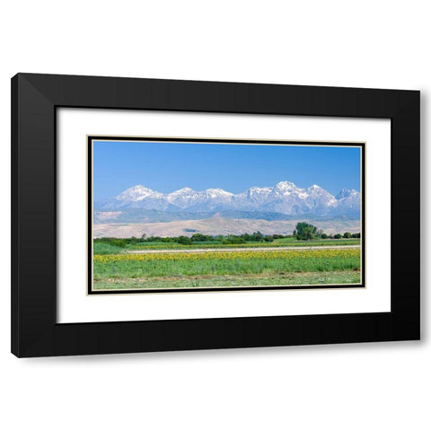 Landscape in the foothills of the Fergana mountain range Black Modern Wood Framed Art Print with Double Matting by Zwick, Martin