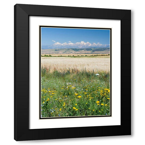 Landscape in the foothills of the Fergana mountain range Black Modern Wood Framed Art Print with Double Matting by Zwick, Martin
