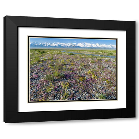 Peak Pik Lenin or Kullai abu-ali ibn Sino and Pik Dserschinski Alay Valley  Black Modern Wood Framed Art Print with Double Matting by Zwick, Martin