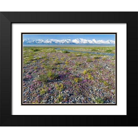 Peak Pik Lenin or Kullai abu-ali ibn Sino and Pik Dserschinski Alay Valley  Black Modern Wood Framed Art Print with Double Matting by Zwick, Martin