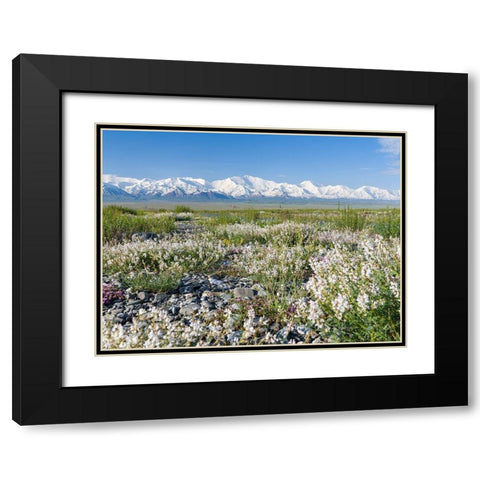 Peak Pik Lenin or Kullai abu-ali ibn Sino and Pik Dserschinski Alay Valley  Black Modern Wood Framed Art Print with Double Matting by Zwick, Martin