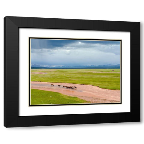 Horses in the Alay Valley and the Trans-Alay Range in the Pamir Mountains  Black Modern Wood Framed Art Print with Double Matting by Zwick, Martin