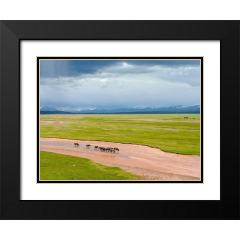 Horses in the Alay Valley and the Trans-Alay Range in the Pamir Mountains  Black Modern Wood Framed Art Print with Double Matting by Zwick, Martin